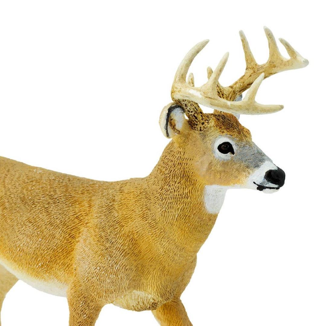 Whitetail Buck 6 inch Figure - Hand Painted & Collectible Toy - Safari Ltd 113589