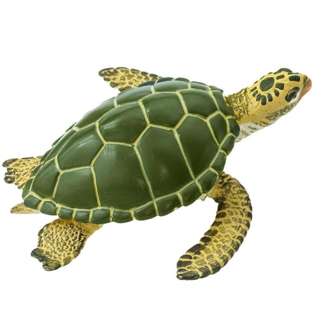 Green Sea Turtle Figure - Hand Painted & Collectible Toy - Safari Ltd 274329