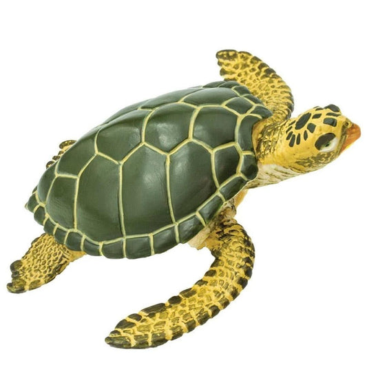Green Sea Turtle Figure - Hand Painted & Collectible Toy - Safari Ltd 274329