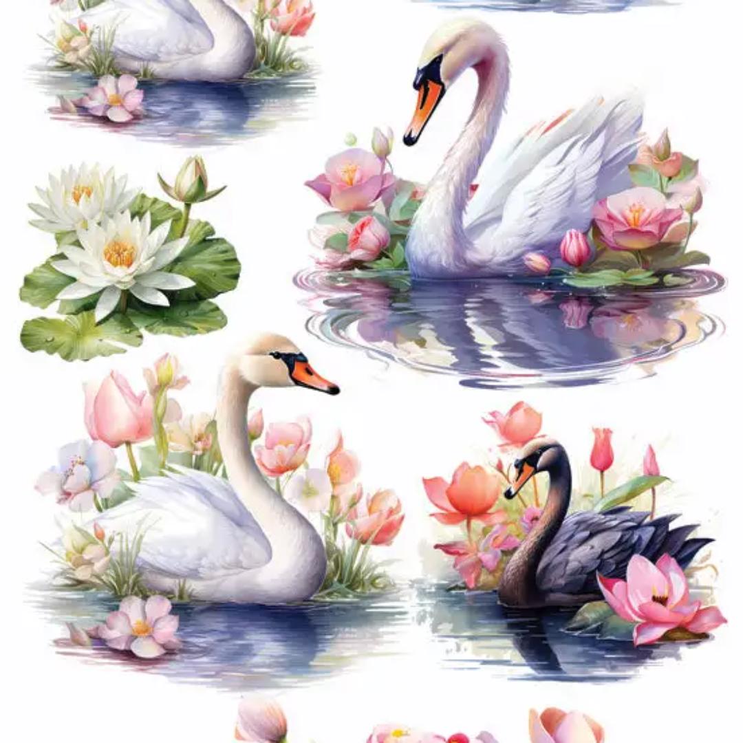 Majestic Swan Stickers - 2 Sticker Sheets for Stationary, Scrapbooking, & More