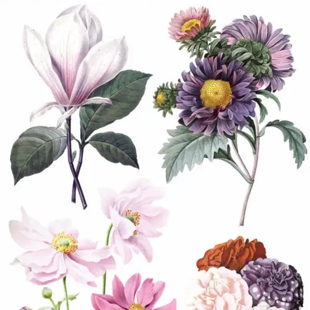 Hepburn Floral Stickers - 2 Sticker Sheets for Stationary, Scrapbooking, & More