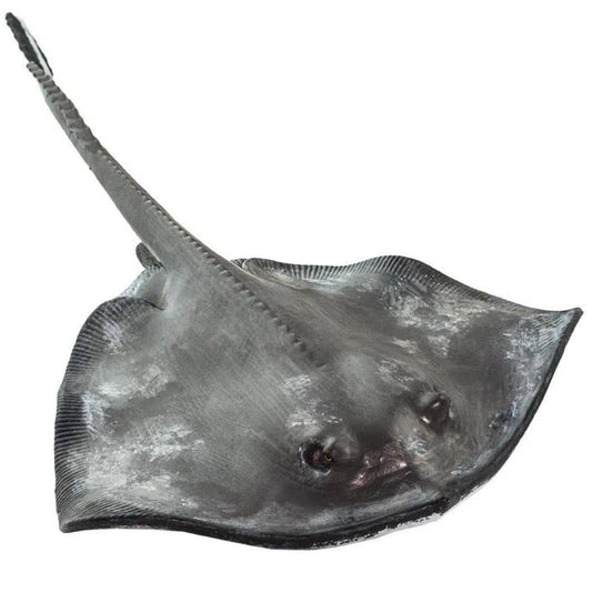 Sting Ray Figure - Hand Painted & Collectible Toy - Safari Ltd 100507