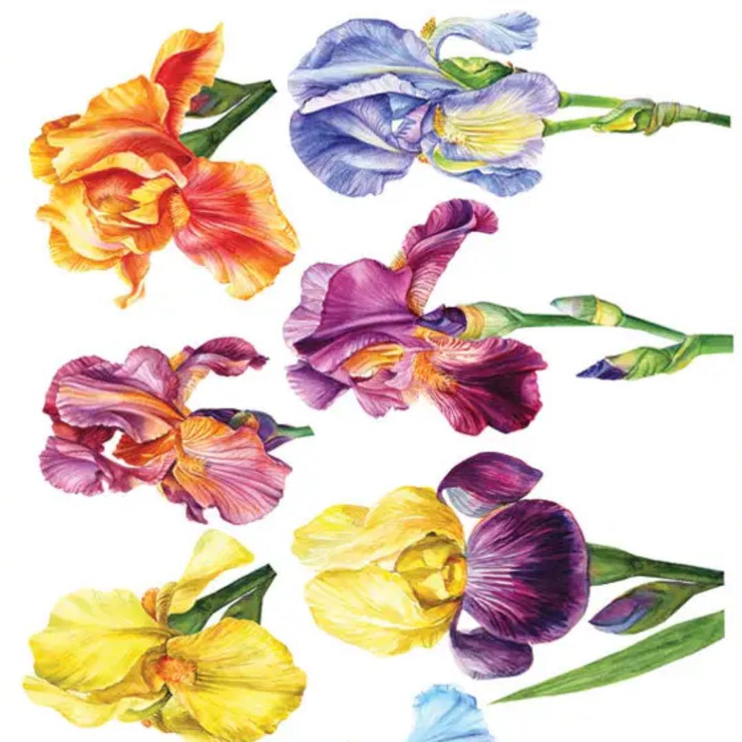 Iris Colorful Flower Stickers - 2 Sticker Sheets for Stationary, Scrapbooking, & More