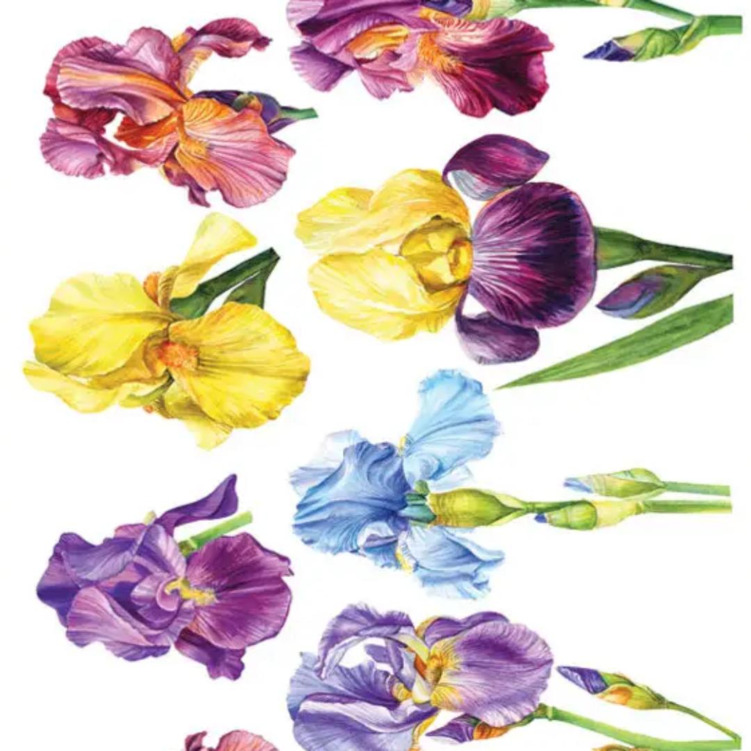 Iris Colorful Flower Stickers - 2 Sticker Sheets for Stationary, Scrapbooking, & More