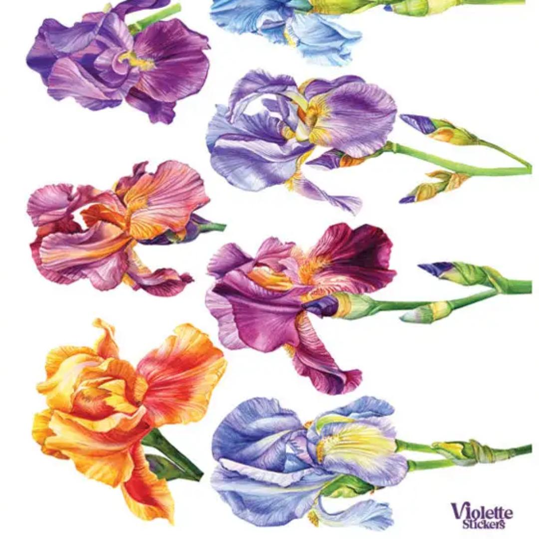 Iris Colorful Flower Stickers - 2 Sticker Sheets for Stationary, Scrapbooking, & More