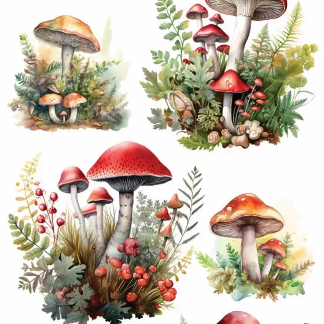 Mushroom Patches Stickers - 2 Sticker Sheets for Stationary, Scrapbooking, & More