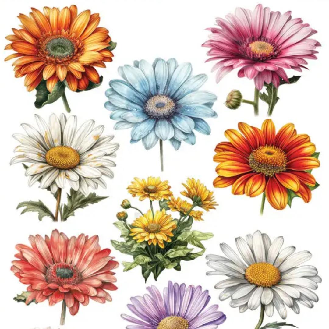 Colorful Daisy Stickers - 2 Sticker Sheets for Stationary, Scrapbooking, & More