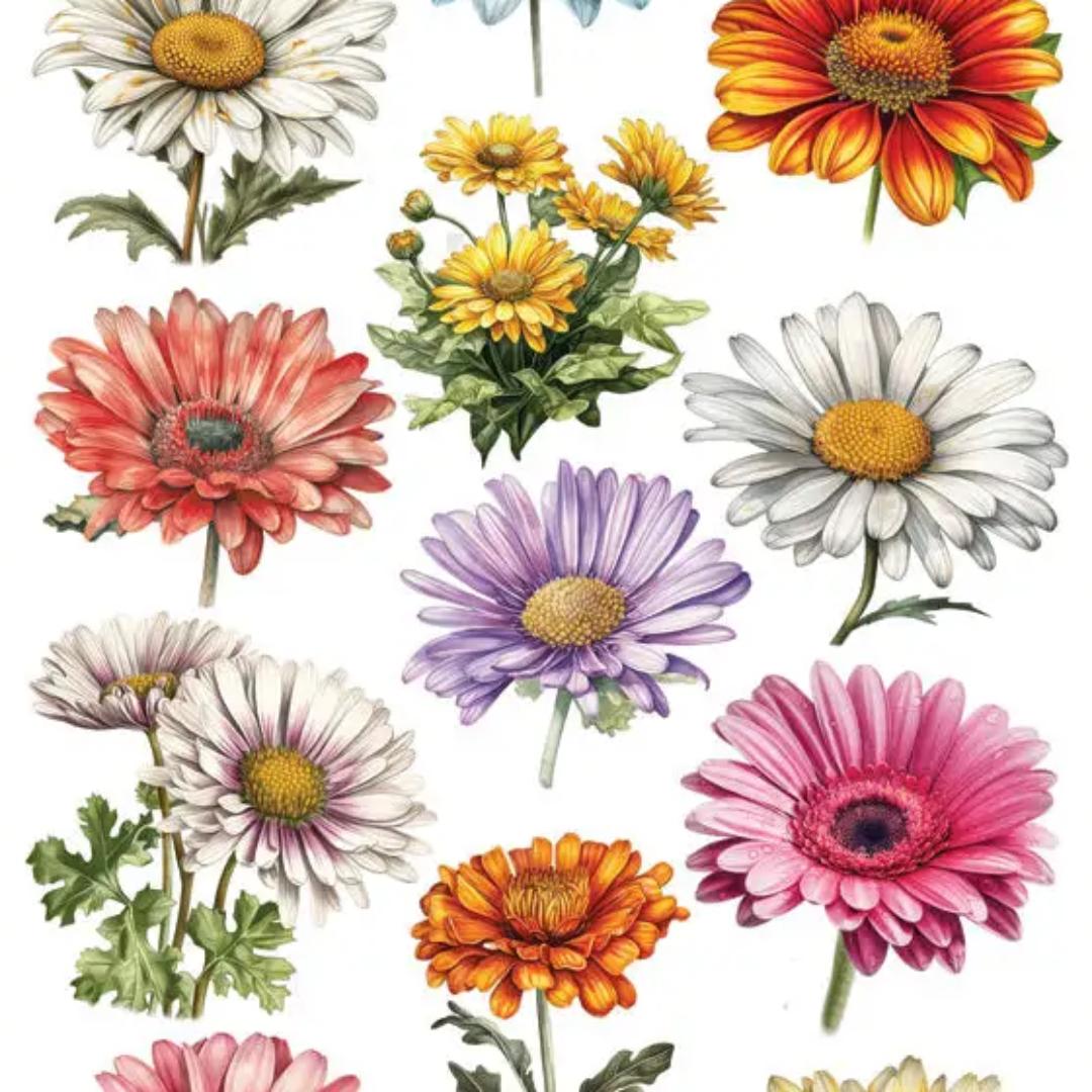 Colorful Daisy Stickers - 2 Sticker Sheets for Stationary, Scrapbooking, & More