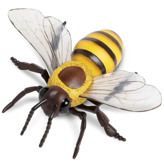 Honey Bee Figure - Hand Painted & Collectible Toy - Safari Ltd 268229