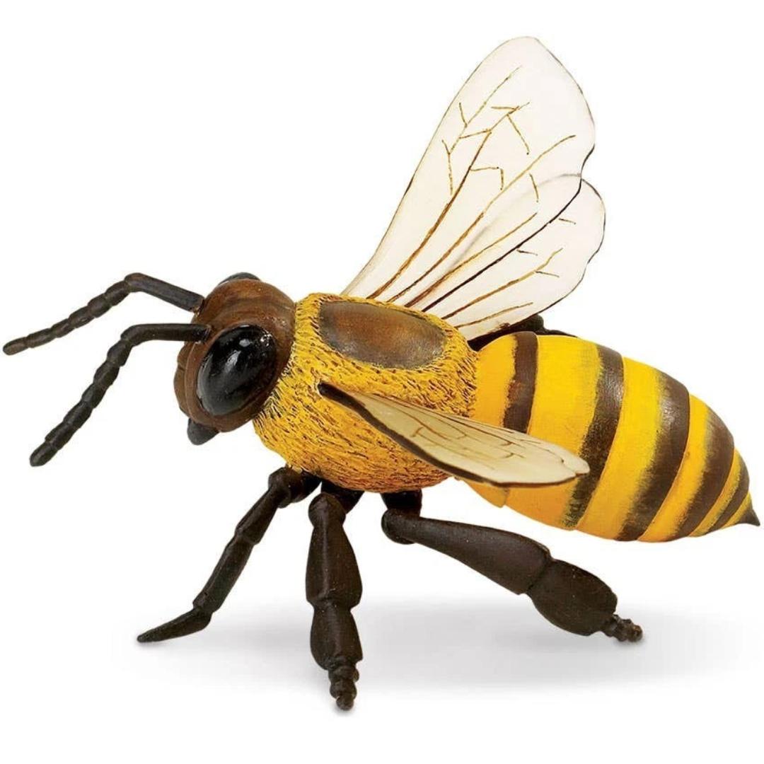 Honey Bee Figure - Hand Painted & Collectible Toy - Safari Ltd 268229