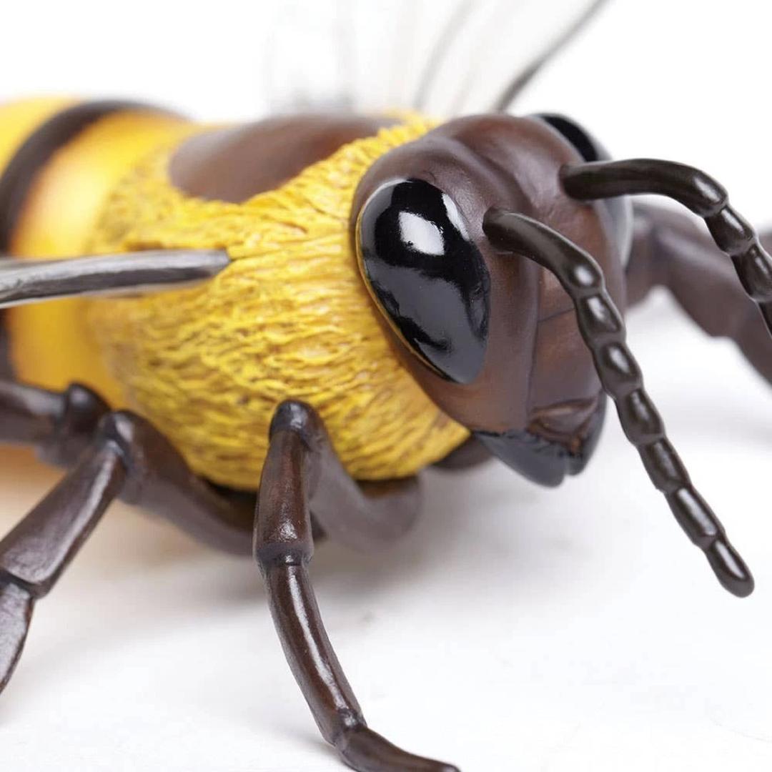 Honey Bee Figure - Hand Painted & Collectible Toy - Safari Ltd 268229