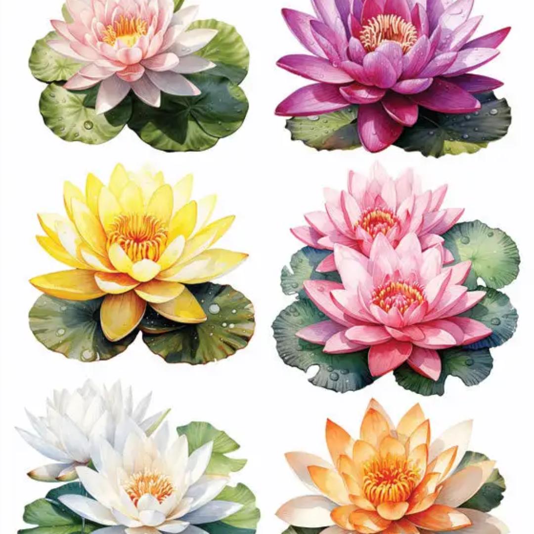 Lilypad Flower Stickers - 2 Sticker Sheets for Stationary, Scrapbooking, & More