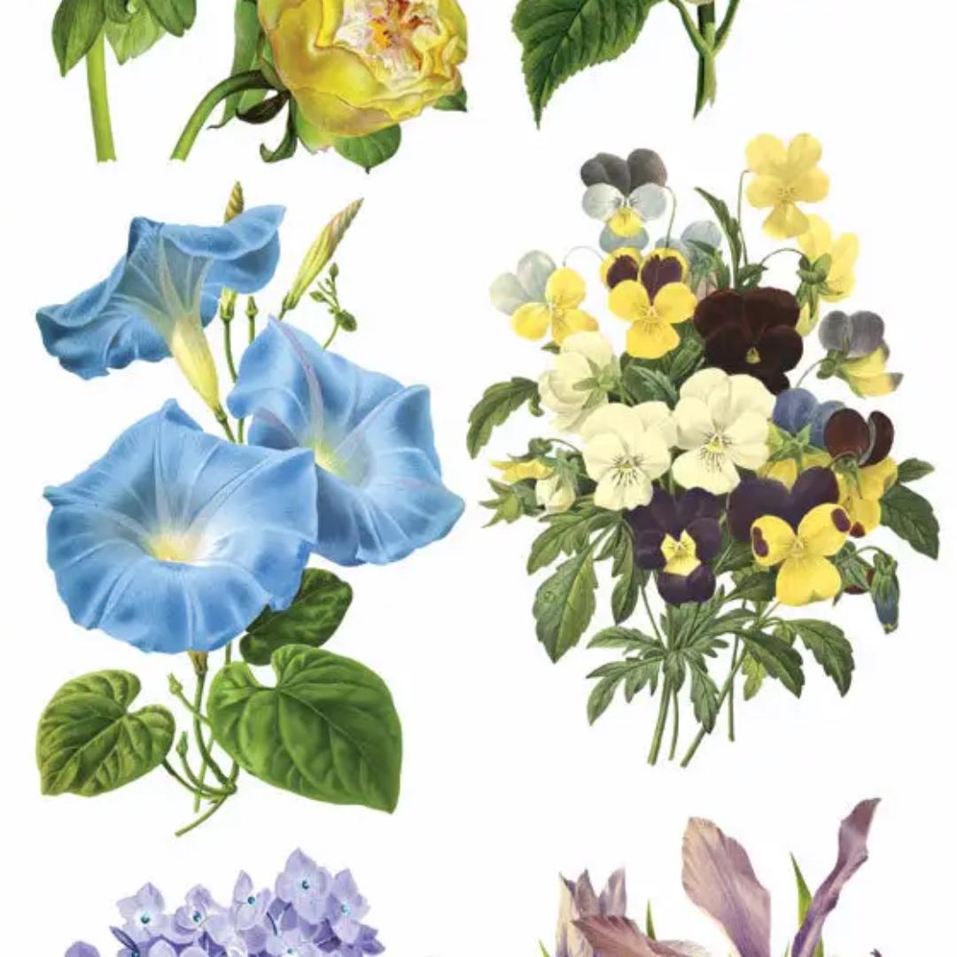 Lilac Blue and Yellow Bloom Stickers - 2 Sticker Sheets for Stationary, Scrapbooking, & More