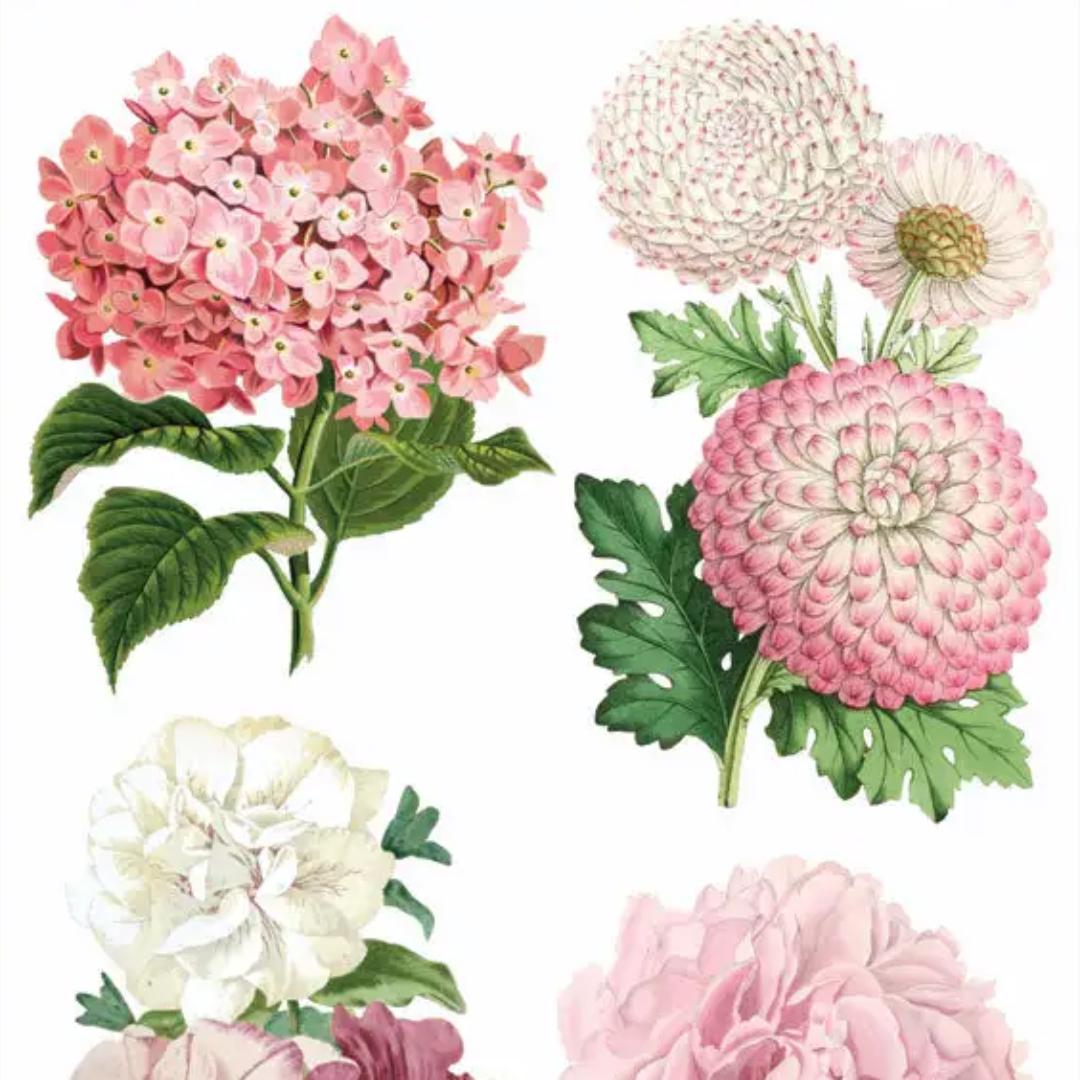 Pink Peony Party Stickers - 2 Sticker Sheets for Stationary, Scrapbooking, & More