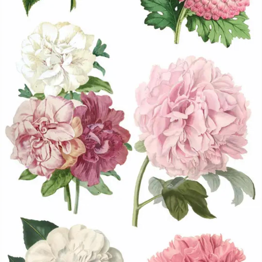 Pink Peony Party Stickers - 2 Sticker Sheets for Stationary, Scrapbooking, & More