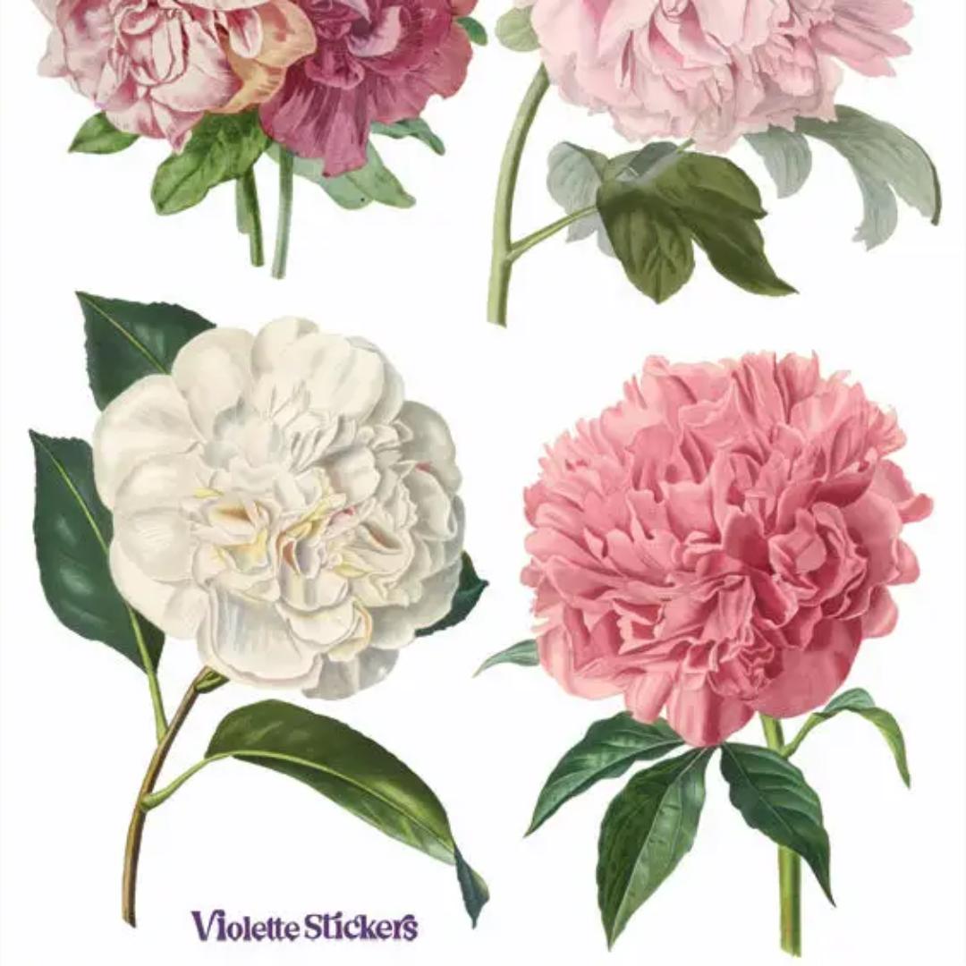 Pink Peony Party Stickers - 2 Sticker Sheets for Stationary, Scrapbooking, & More