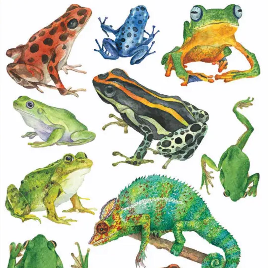 Crystal Frogs and Lizard Stickers - 2 Sticker Sheets for Stationary, Scrapbooking, & More