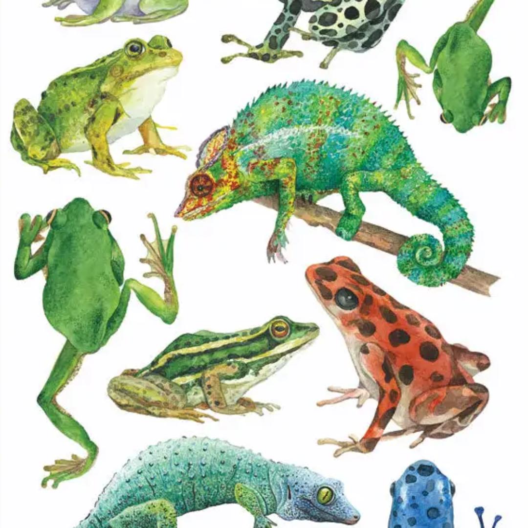 Crystal Frogs and Lizard Stickers - 2 Sticker Sheets for Stationary, Scrapbooking, & More