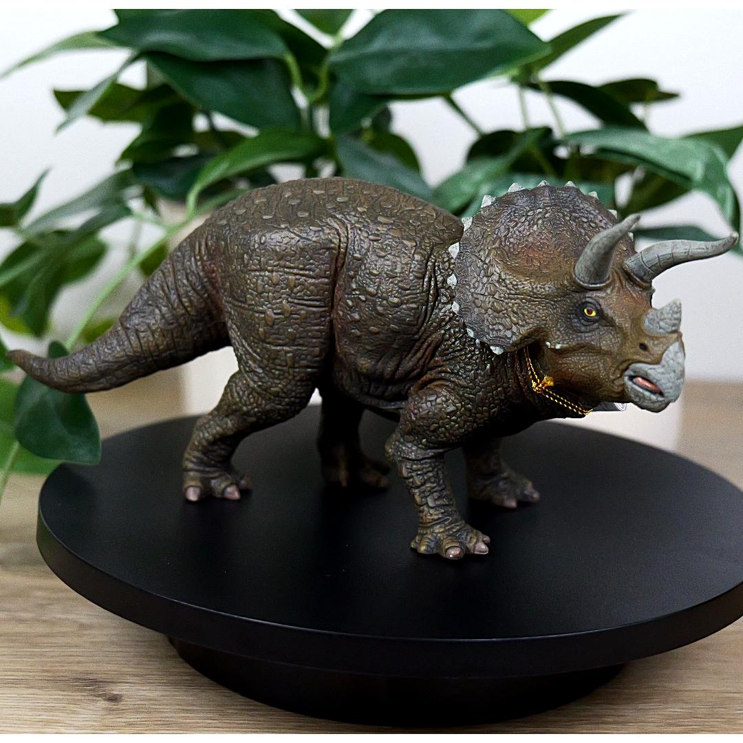 Triceratops Dinosaur Figure - Hand Painted & Collectible Toy - Papo 55002