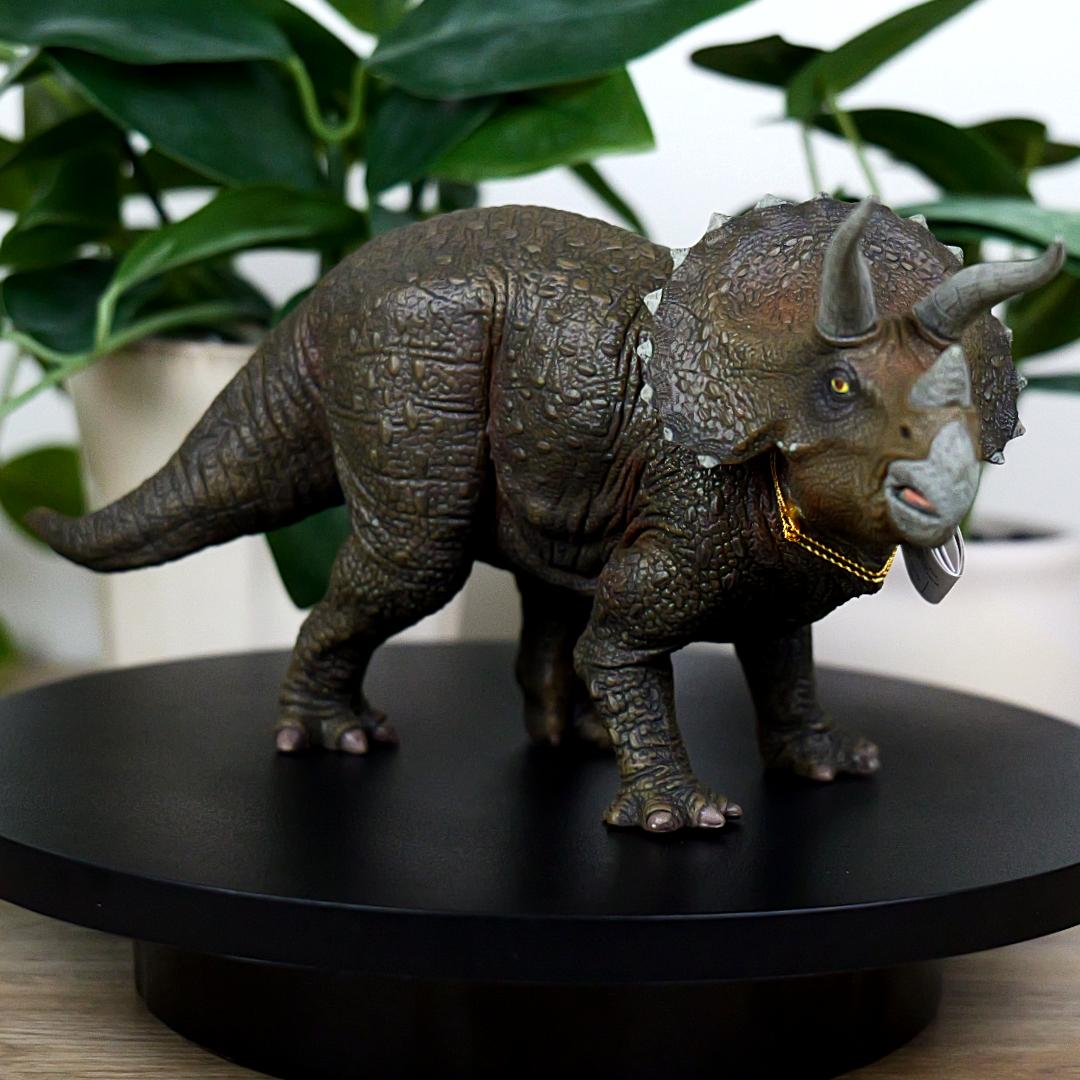 Triceratops Dinosaur Figure - Hand Painted & Collectible Toy - Papo 55002