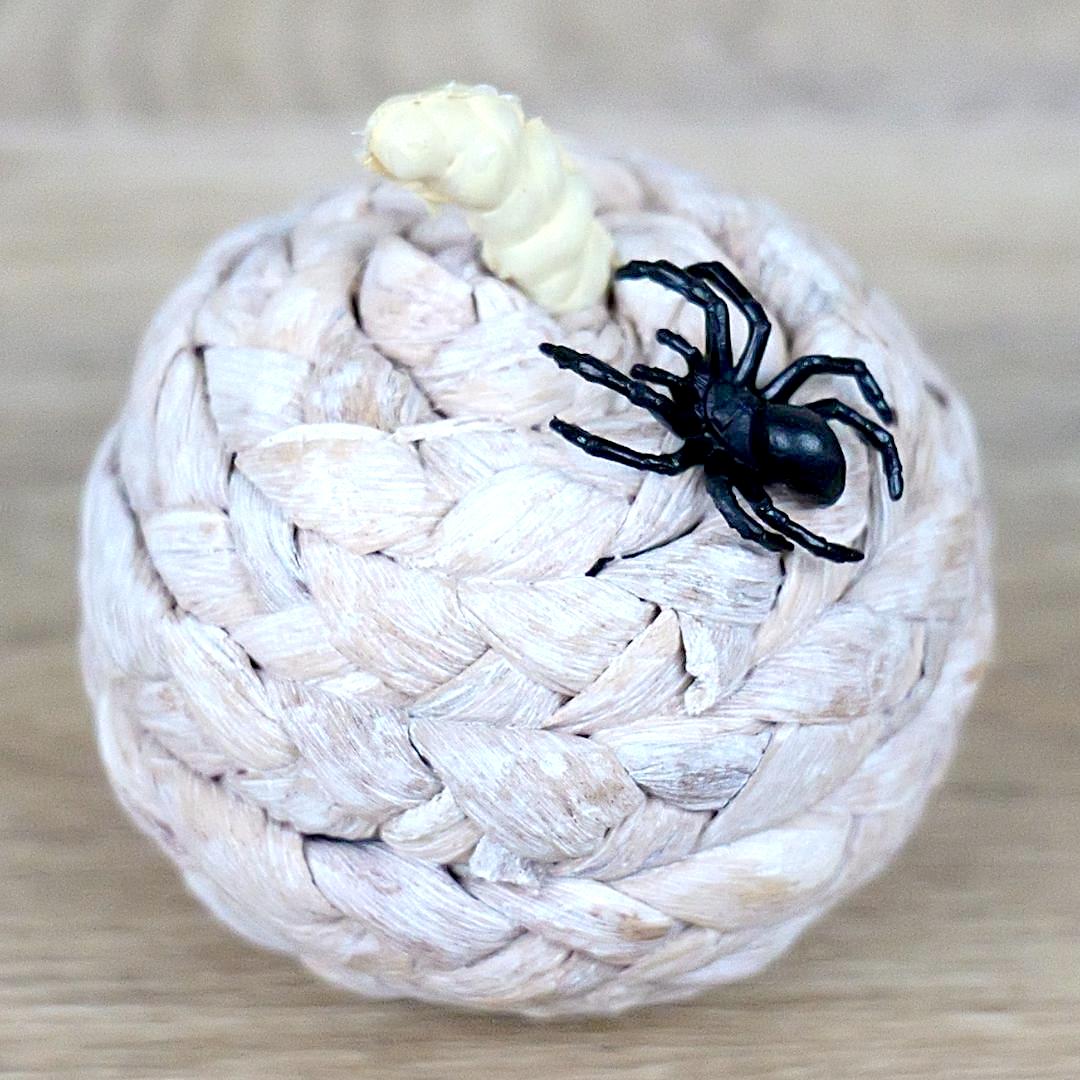 Black Widow Spider Good Luck Minis Figure - Hand Painted & Collectible Miniature Figurine - Safari Ltd