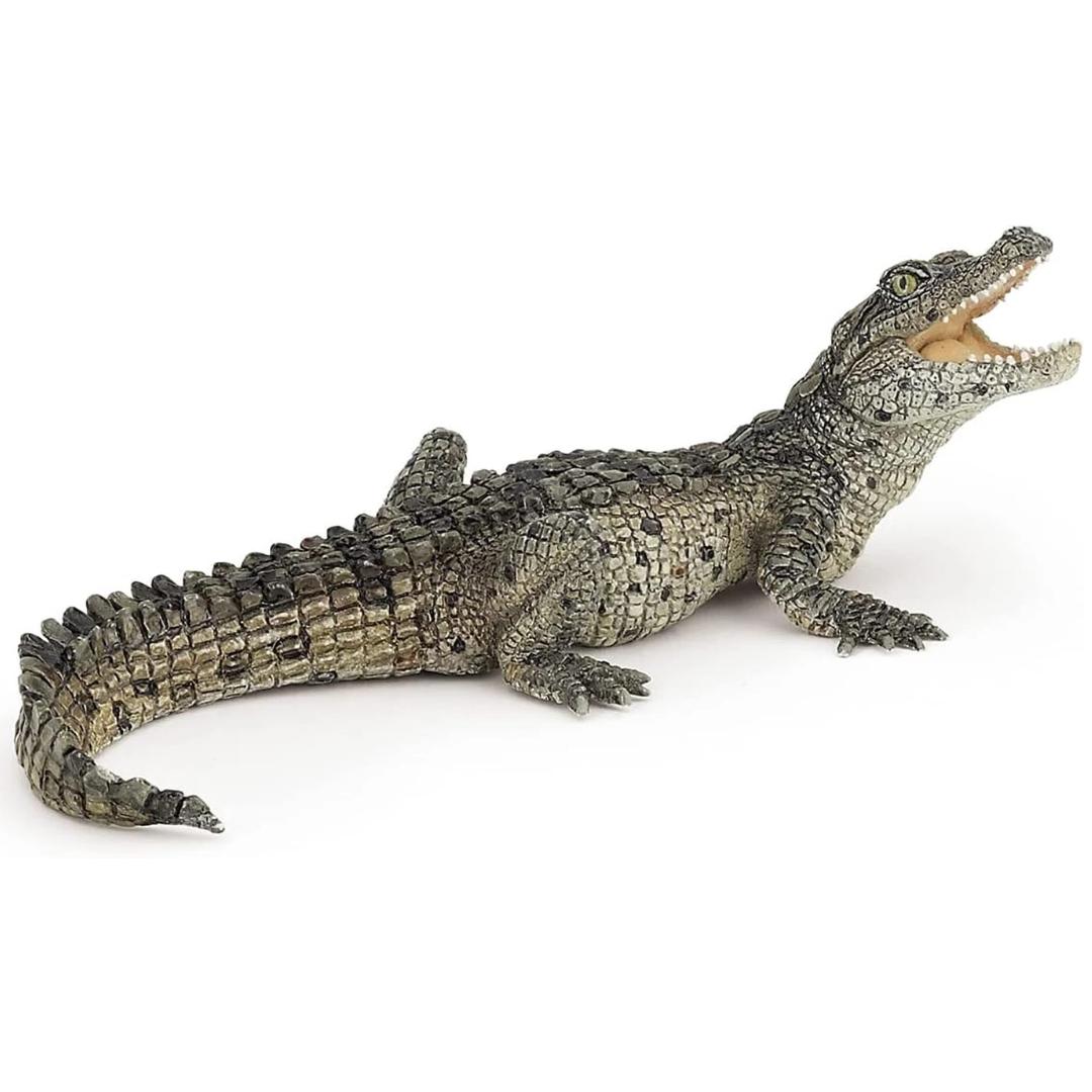 Baby Crocodile Reptile Figure - Hand Painted & Collectible Toy - Papo 50137