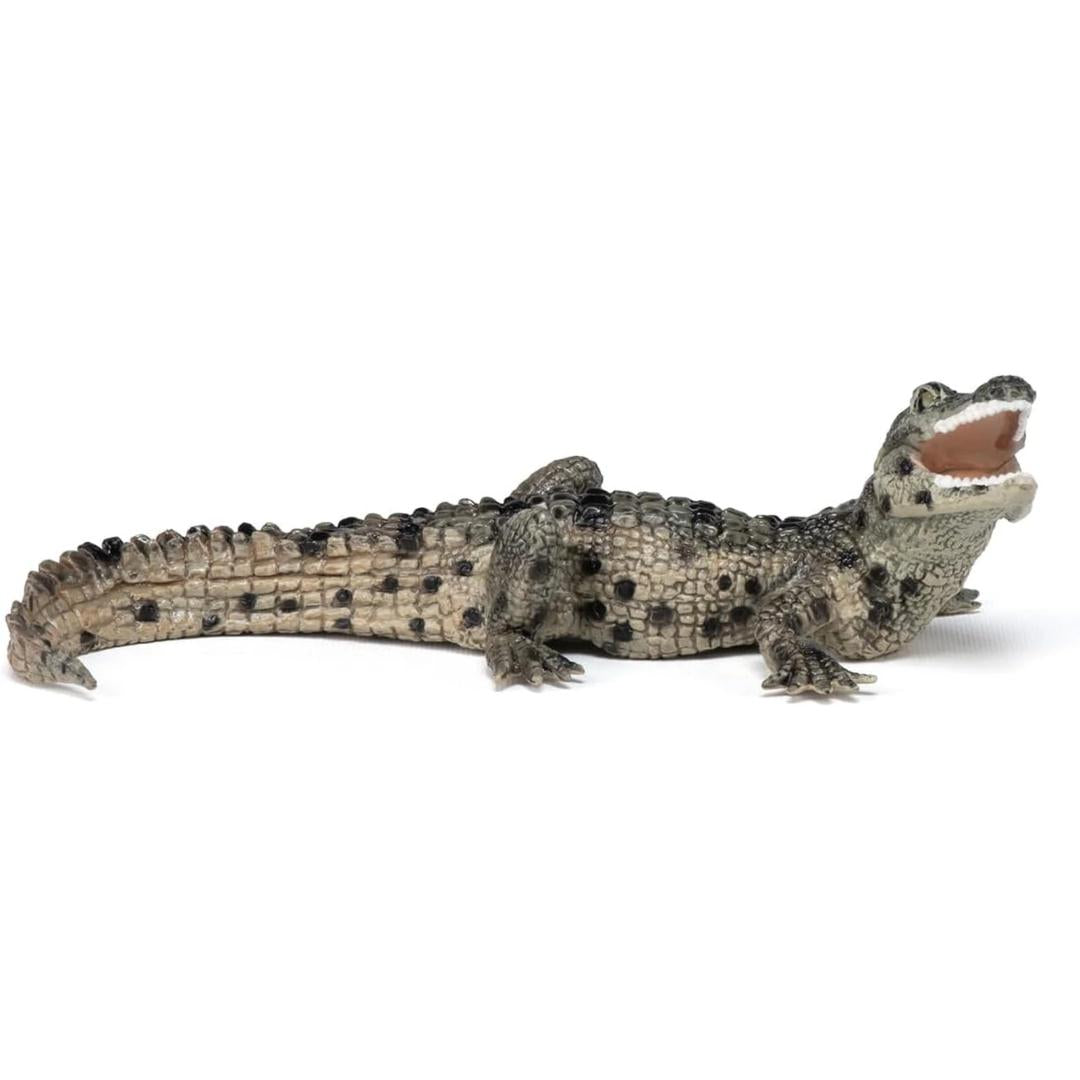 Baby Crocodile Reptile Figure - Hand Painted & Collectible Toy - Papo 50137