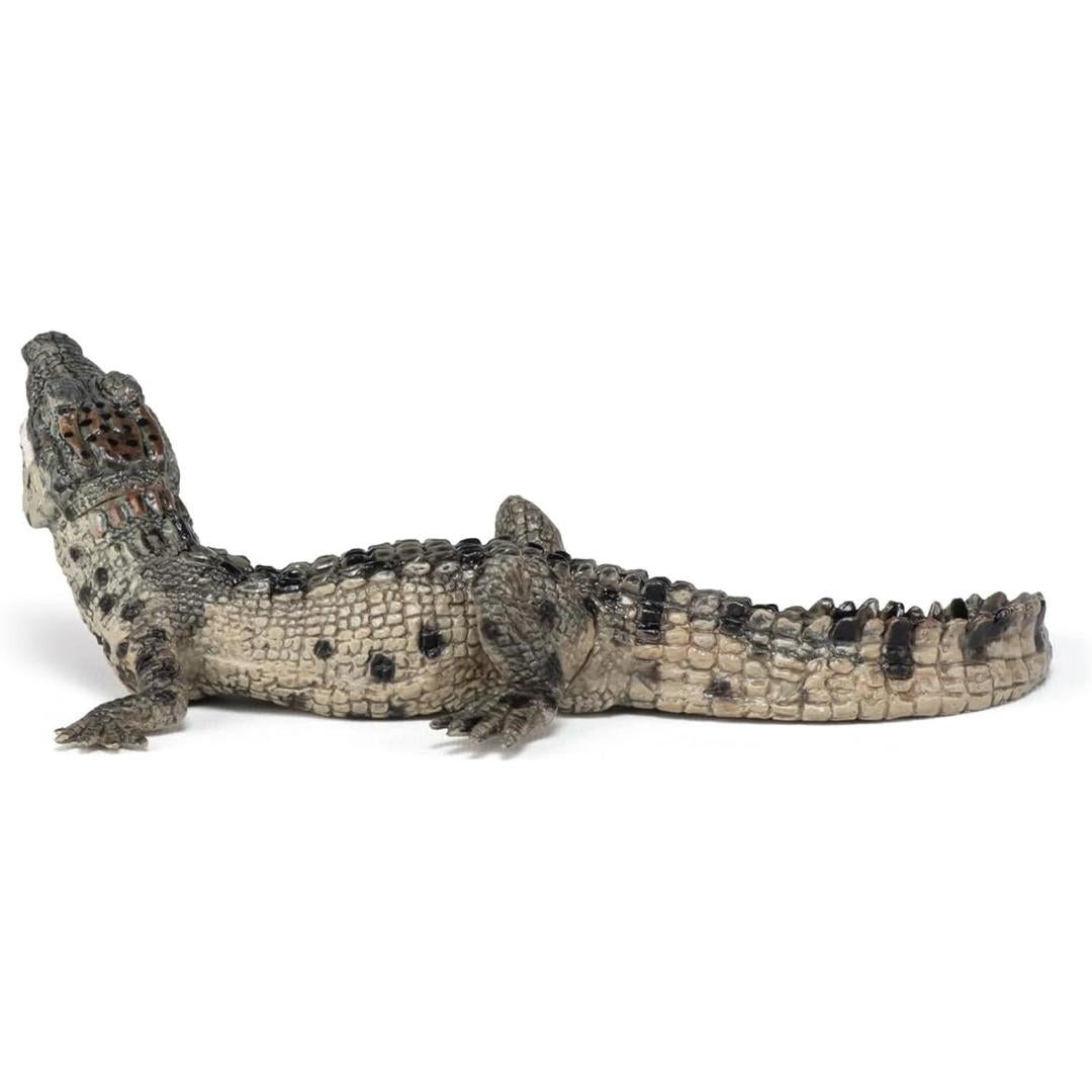Baby Crocodile Reptile Figure - Hand Painted & Collectible Toy - Papo 50137