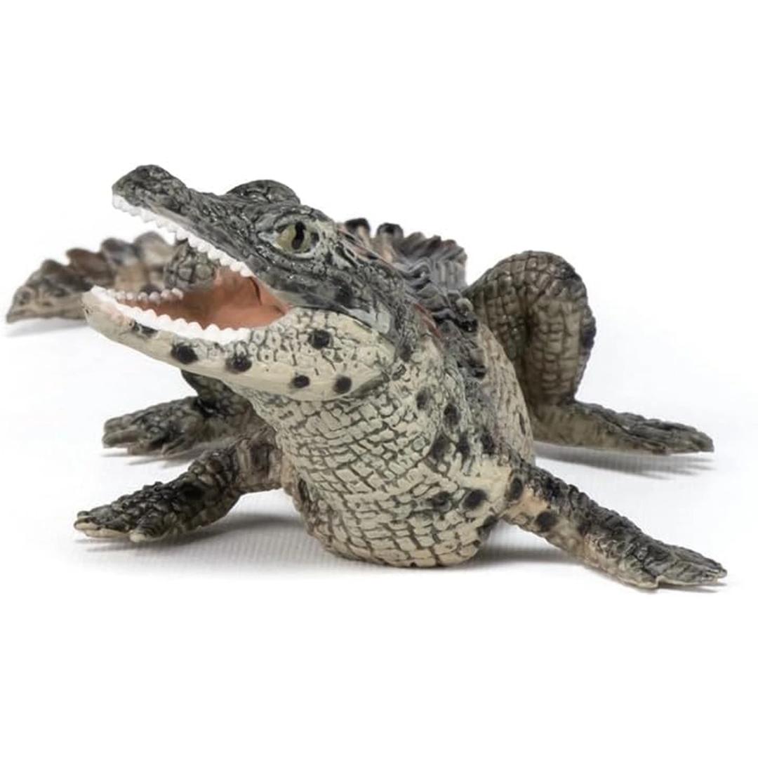 Baby Crocodile Reptile Figure - Hand Painted & Collectible Toy - Papo 50137
