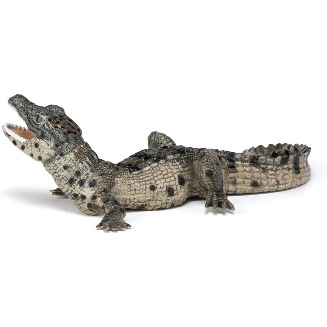 Baby Crocodile Reptile Figure - Hand Painted & Collectible Toy - Papo 50137