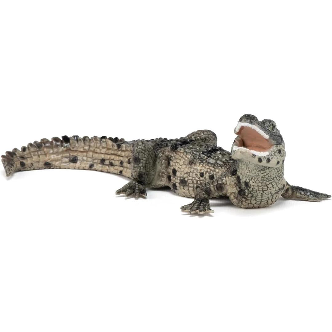 Baby Crocodile Reptile Figure - Hand Painted & Collectible Toy - Papo 50137