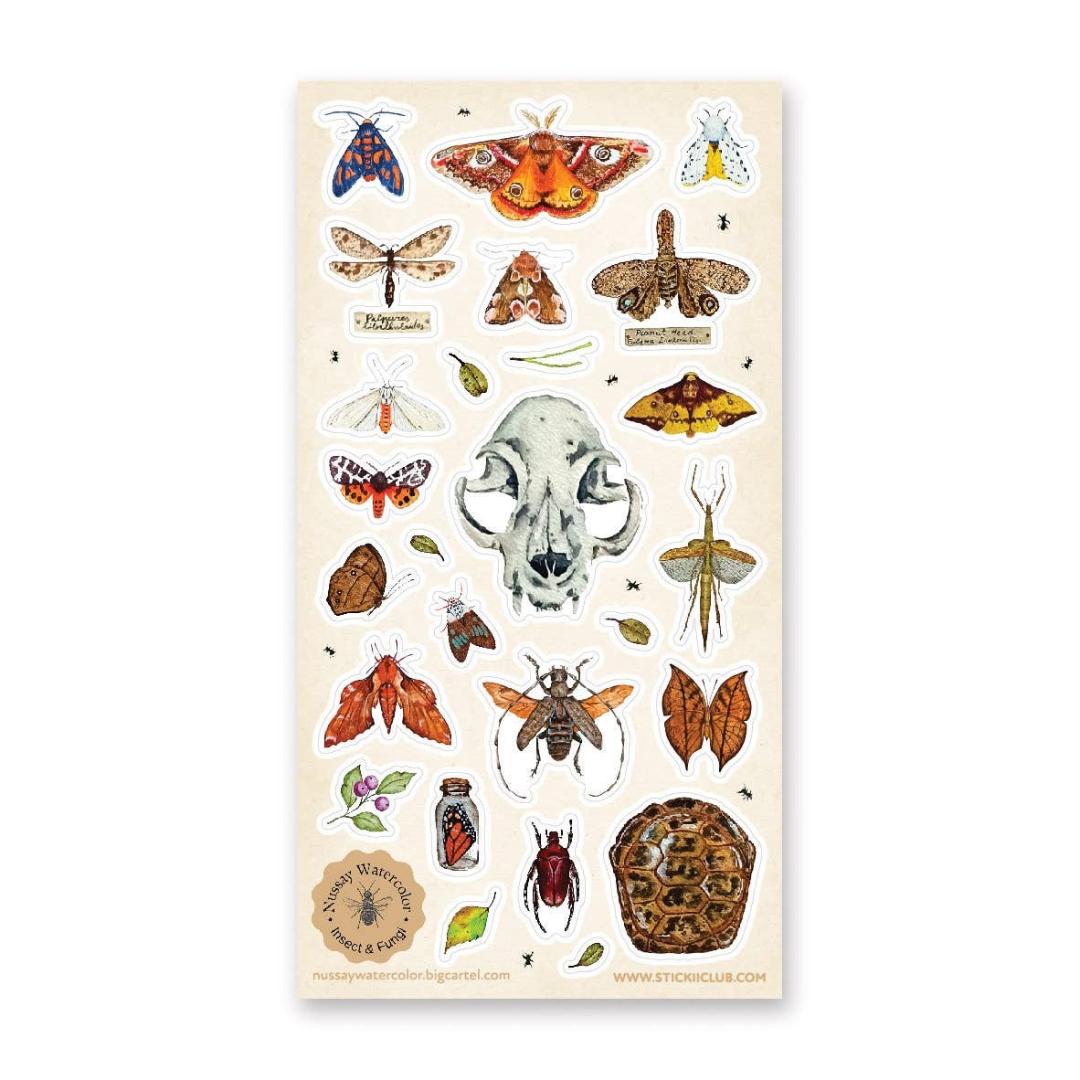 Nature Study Stickers - Animal Skull, Moths, Turtle Shell, & Insects Sticker Sheet