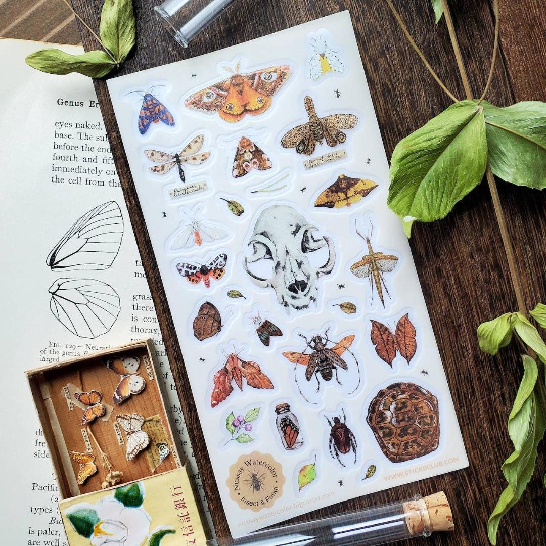 Nature Study Stickers - Animal Skull, Moths, Turtle Shell, & Insects Sticker Sheet