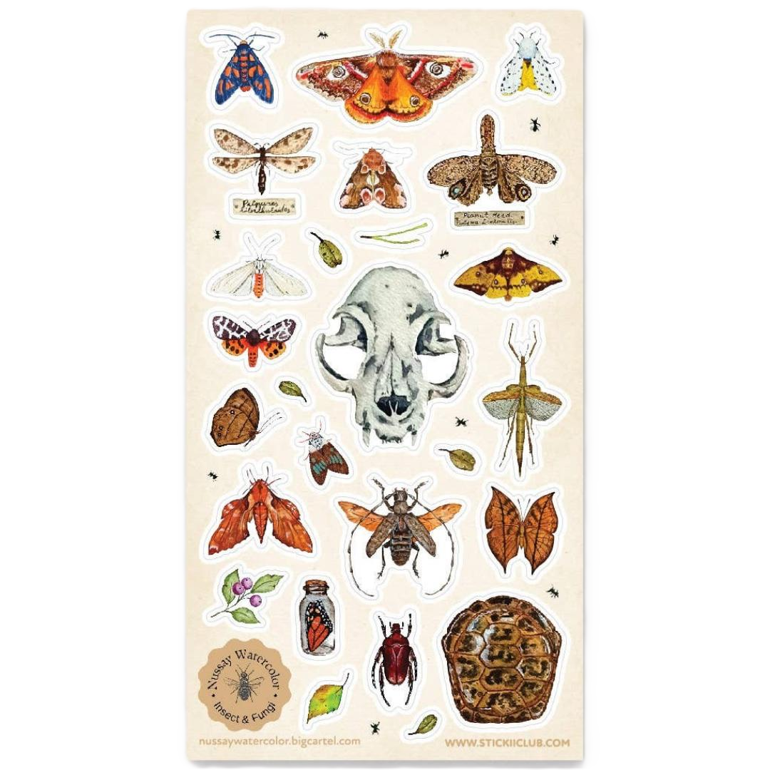 Nature Study Stickers - Animal Skull, Moths, Turtle Shell, & Insects Sticker Sheet