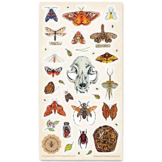 Nature Study Stickers - Animal Skull, Moths, Turtle Shell, & Insects Sticker Sheet