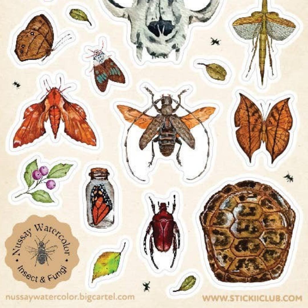 Nature Study Stickers - Animal Skull, Moths, Turtle Shell, & Insects Sticker Sheet