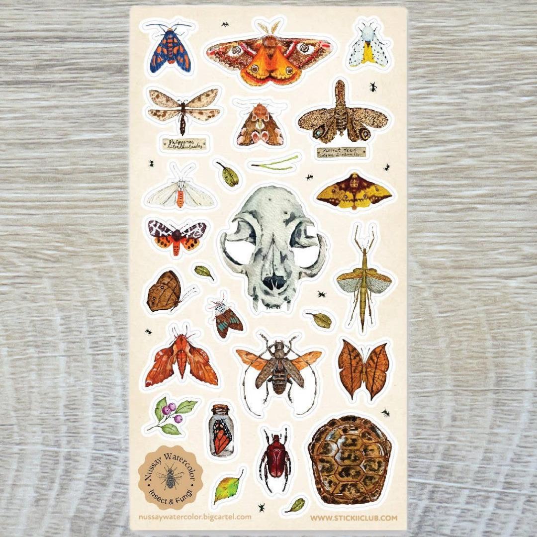 Nature Study Stickers - Animal Skull, Moths, Turtle Shell, & Insects Sticker Sheet