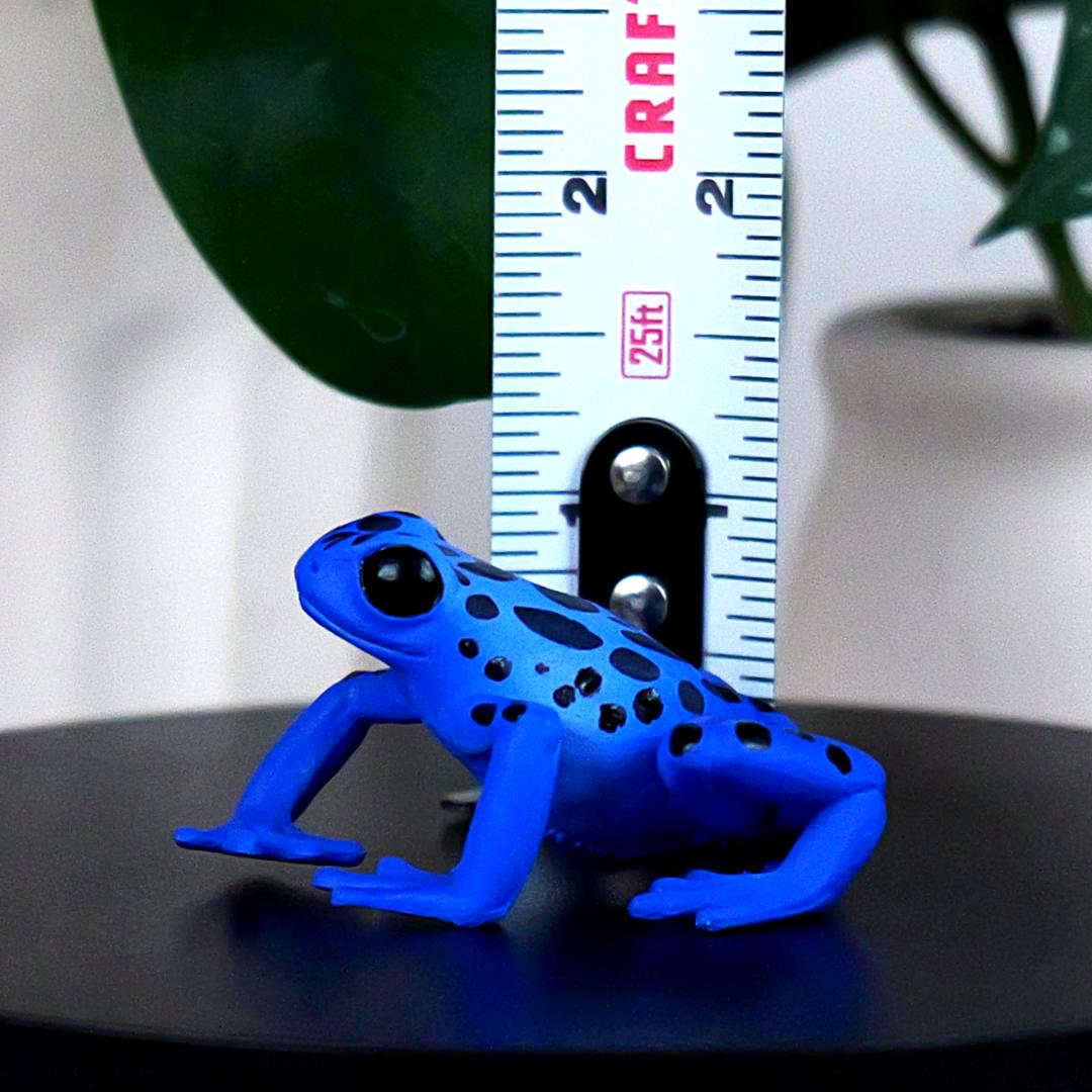 Equatorial Blue Frog Figure - Hand Painted & Collectible Toy - Papo 50175