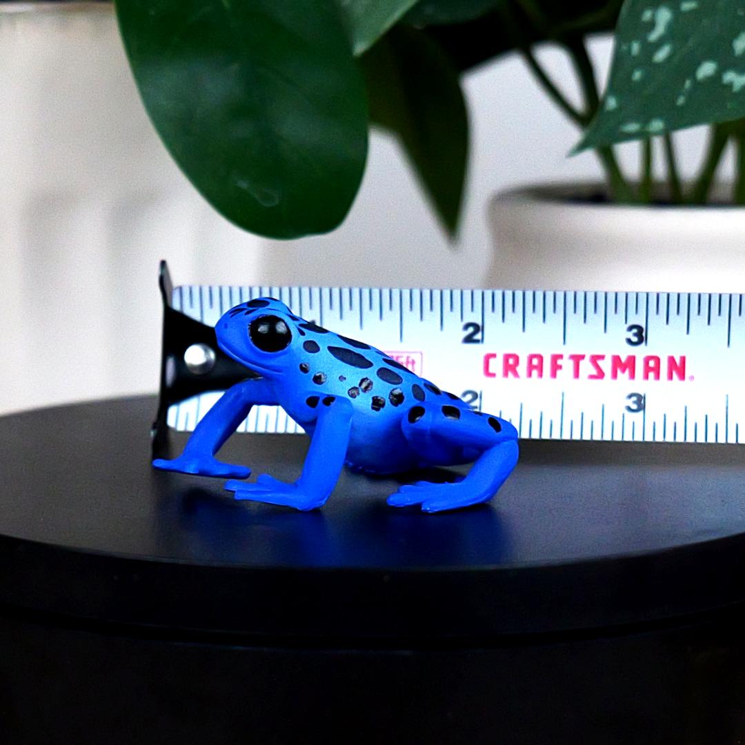 Equatorial Blue Frog Figure - Hand Painted & Collectible Toy - Papo 50175