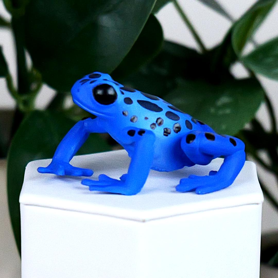 Equatorial Blue Frog Figure - Hand Painted & Collectible Toy - Papo 50175