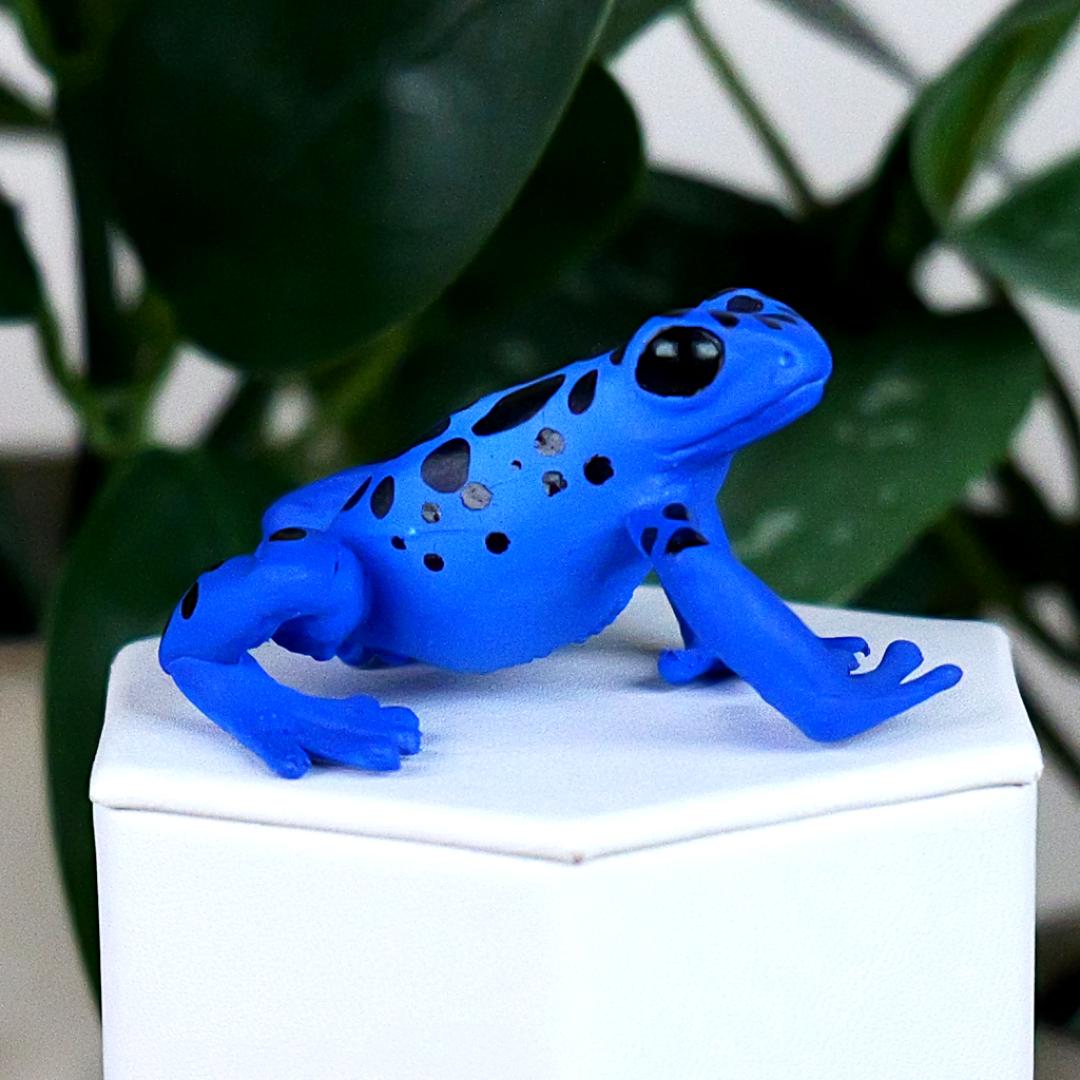 Equatorial Blue Frog Figure - Hand Painted & Collectible Toy - Papo 50175