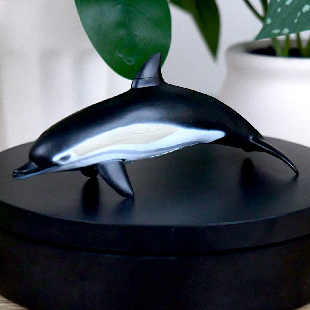 Common Dolphin Sea Life Figure - Hand Painted & Collectible Toy - Papo 56055