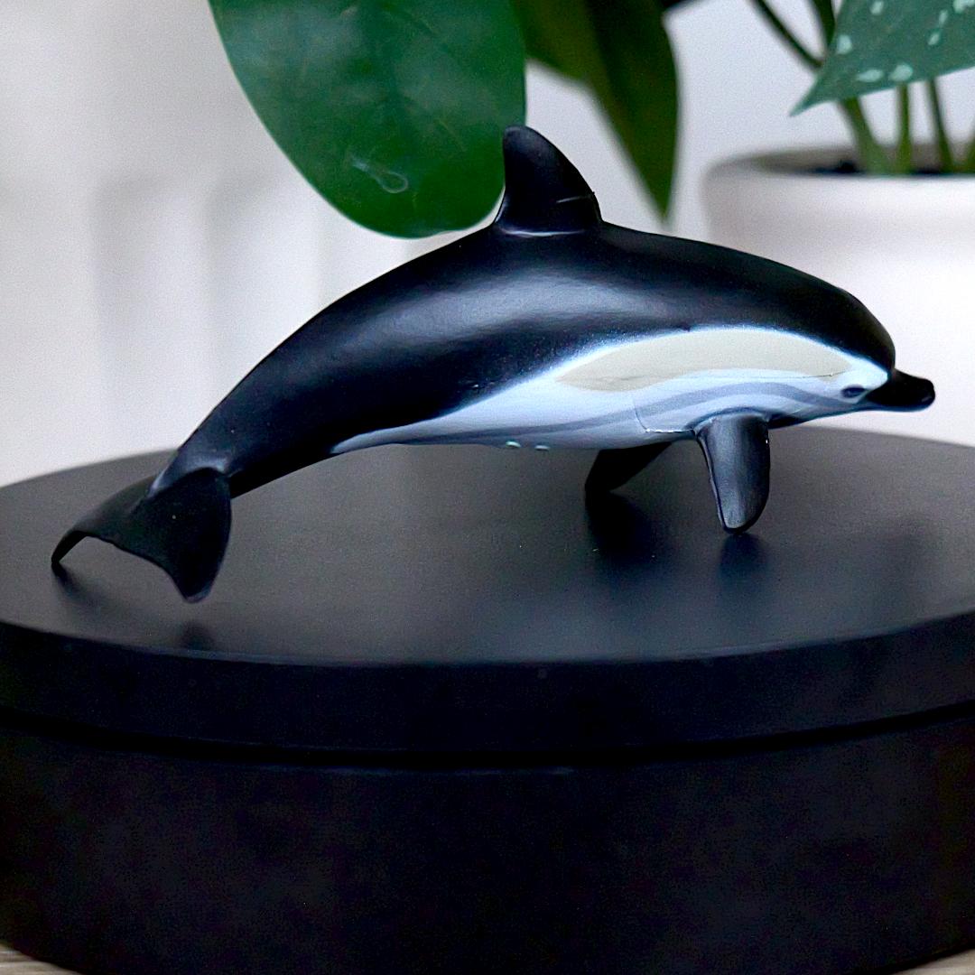 Common Dolphin Sea Life Figure - Hand Painted & Collectible Toy - Papo 56055