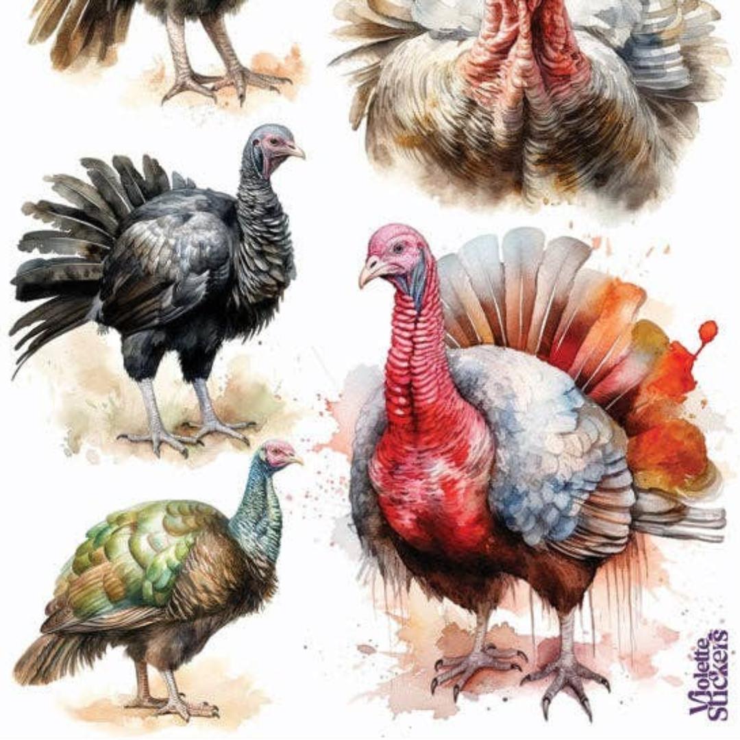 Wild Turkey Stickers - 2 Sticker Sheets for Stationary, Crafts, & Scrapbooking.