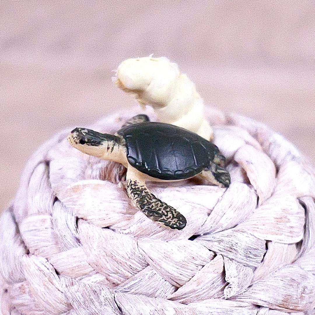 Adult Sea Turtle Good Luck Minis Figure - Hand Painted & Collectible Sea Turtle - Safari Ltd