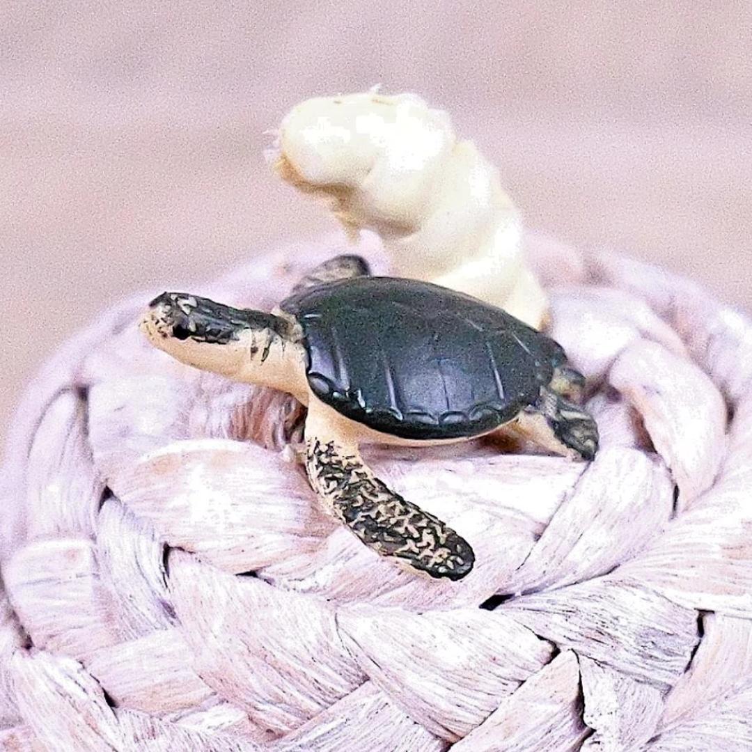 Adult Sea Turtle Good Luck Minis Figure - Hand Painted & Collectible Sea Turtle - Safari Ltd