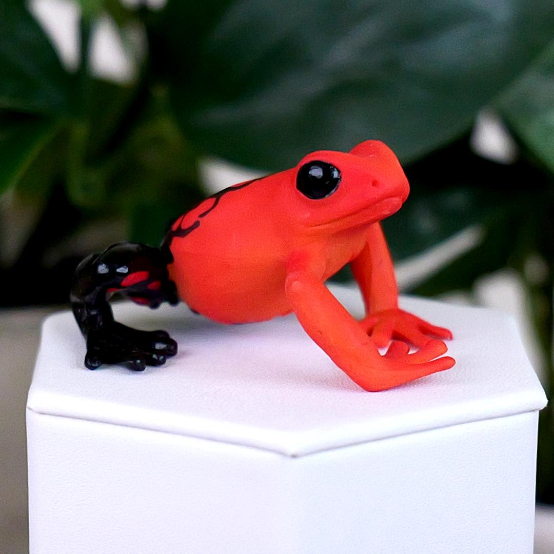Equatorial Red Frog Figure - Hand Painted & Collectible Toy - Papo 50193