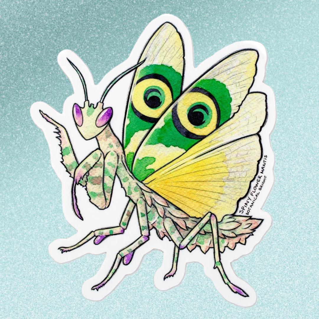 Spiny Flower Praying Mantis Sticker - Waterproof Vinyl Insect and Nature Decal