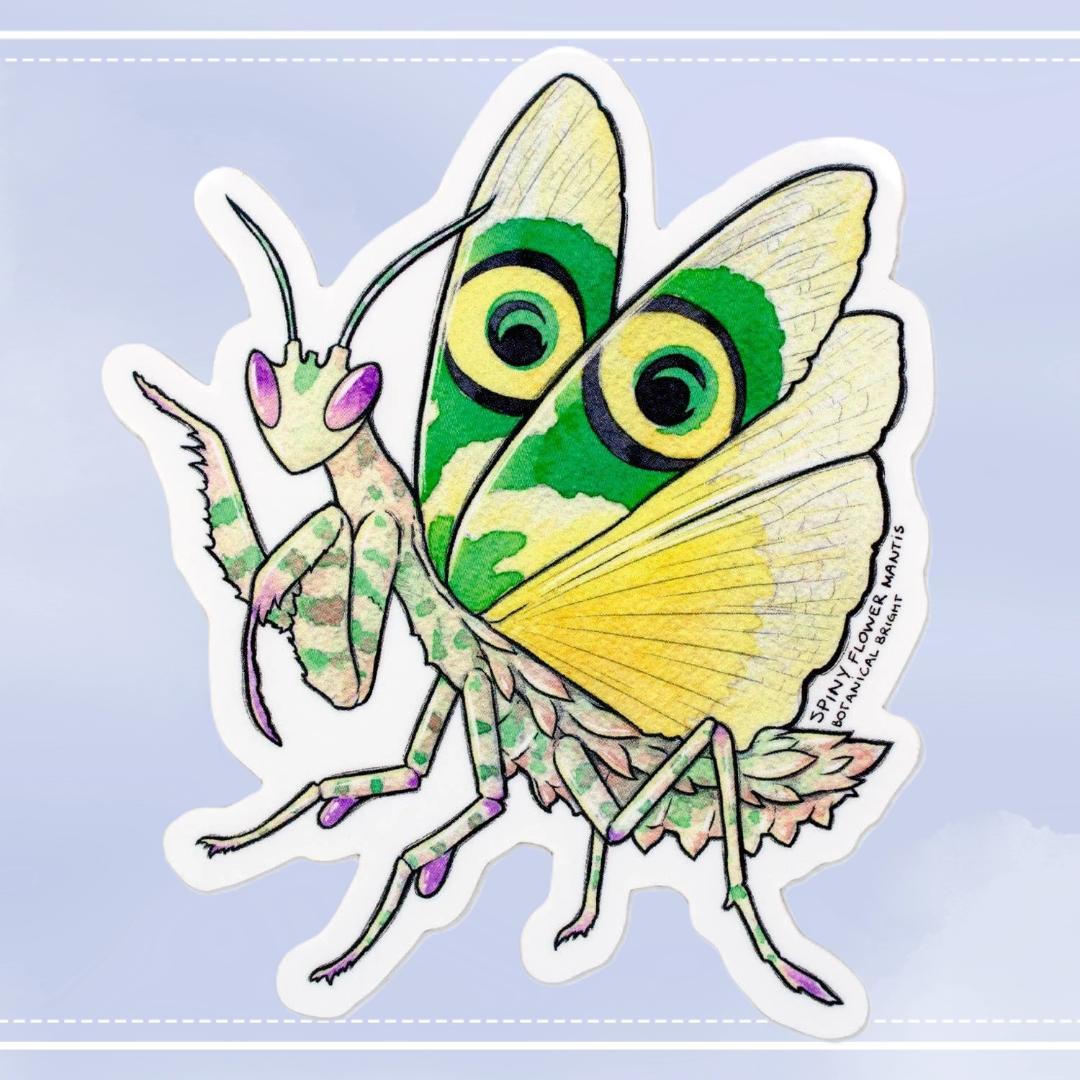 Spiny Flower Praying Mantis Sticker - Waterproof Vinyl Insect and Nature Decal