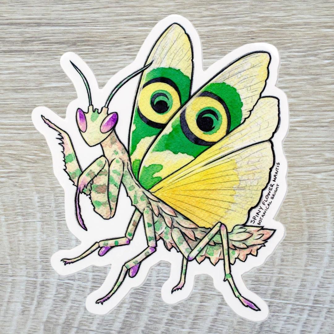 Spiny Flower Praying Mantis Sticker - Waterproof Vinyl Insect and Nature Decal